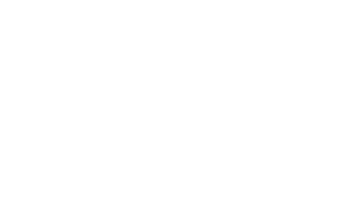 Referenz FOX von SoundPassion Studio GmbH